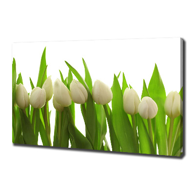 Tableau sur toile Tulipes blanches