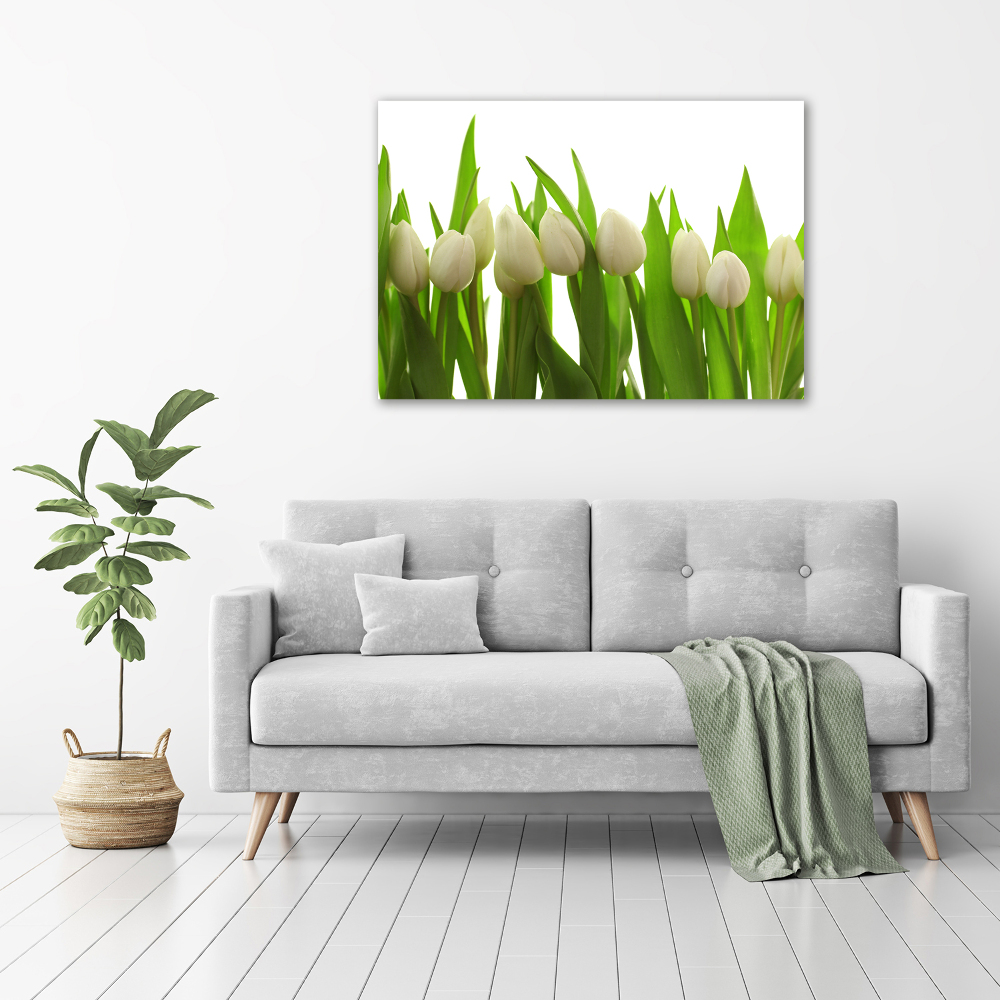 Tableau sur toile Tulipes blanches