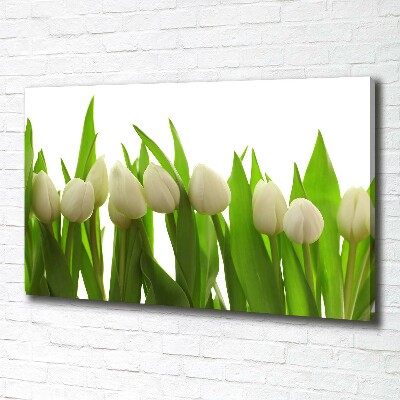 Tableau sur toile Tulipes blanches