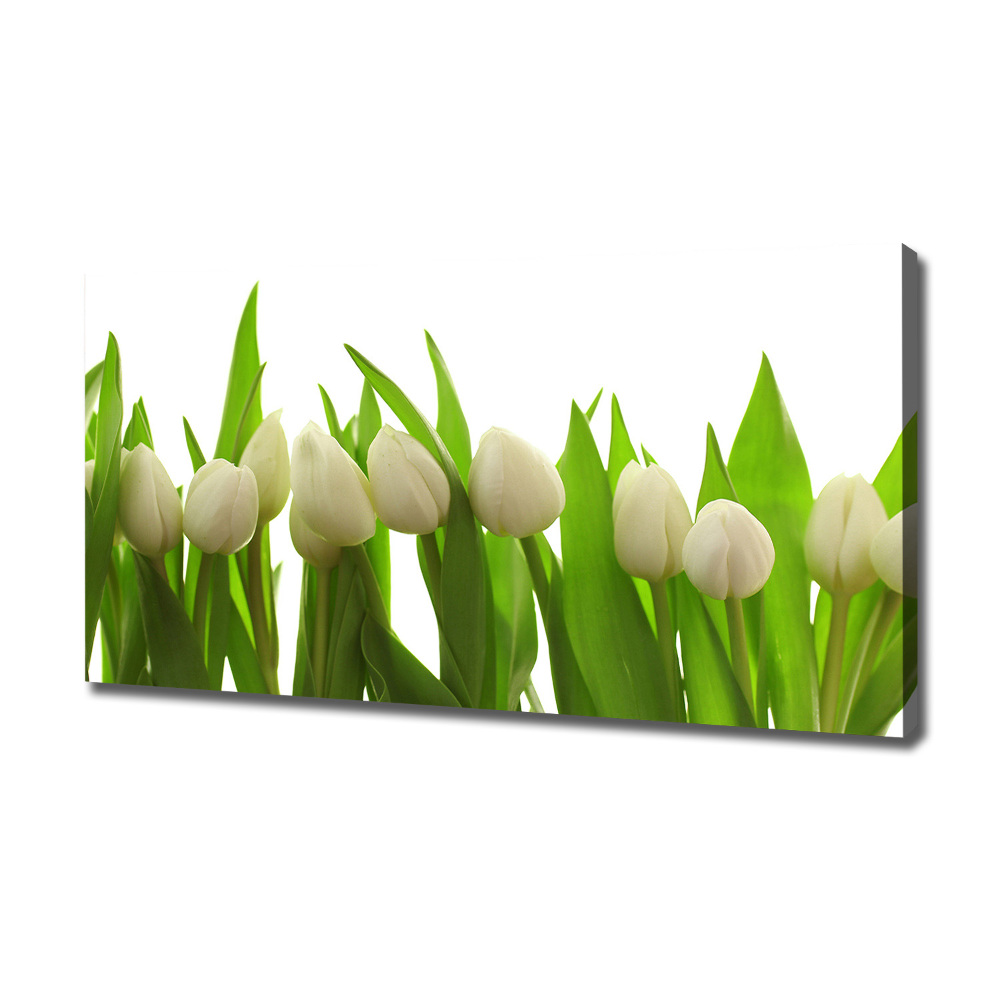 Tableau sur toile Tulipes blanches