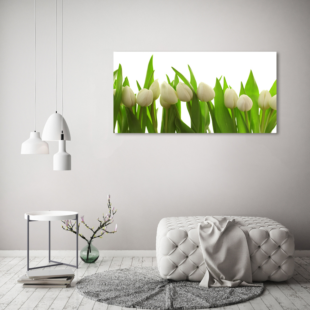 Tableau sur toile Tulipes blanches