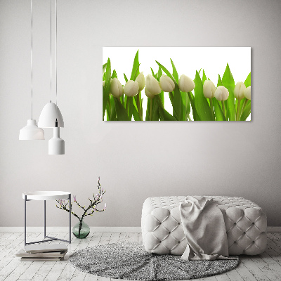 Tableau sur toile Tulipes blanches