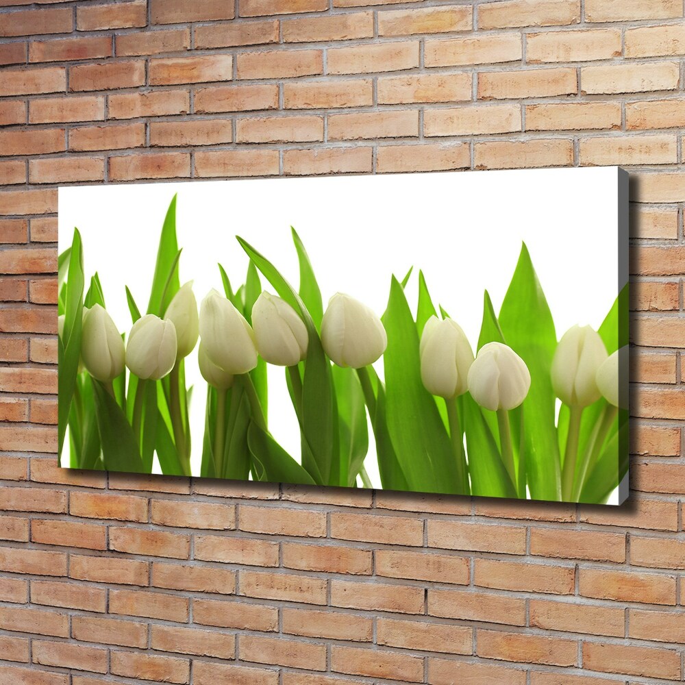 Tableau sur toile Tulipes blanches