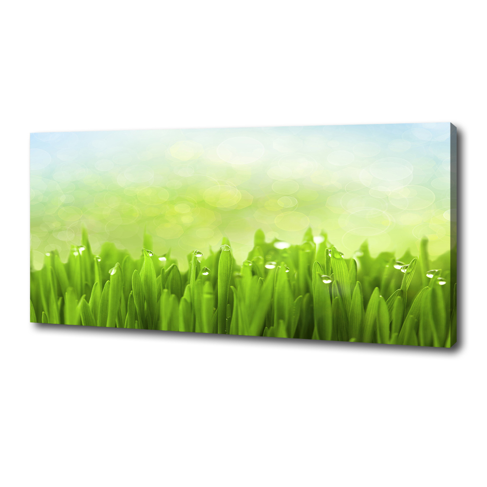 Tableau photo sur toile L'herbe