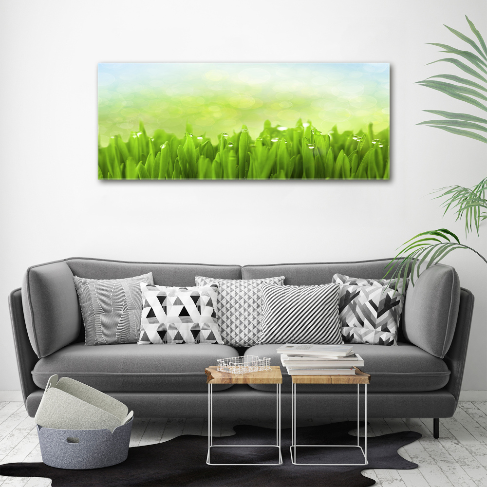 Tableau photo sur toile L'herbe