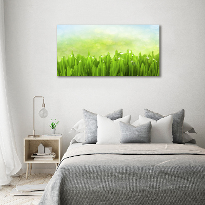 Tableau photo sur toile L'herbe