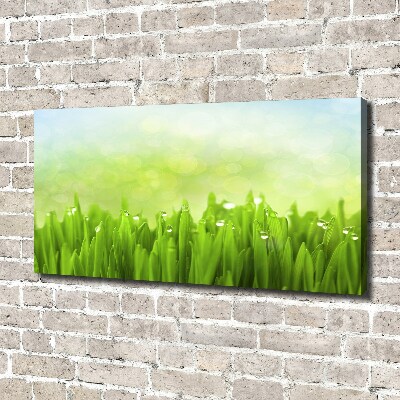 Tableau photo sur toile L'herbe