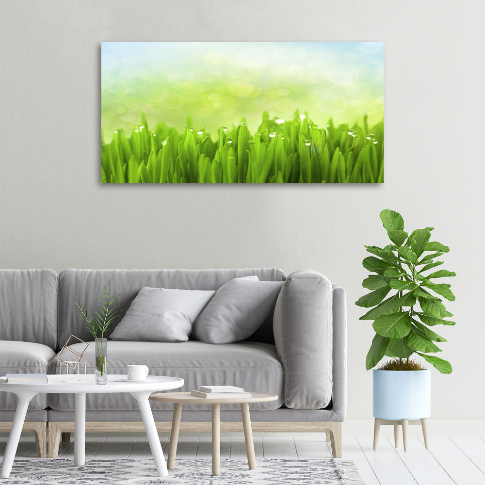 Tableau photo sur toile L'herbe