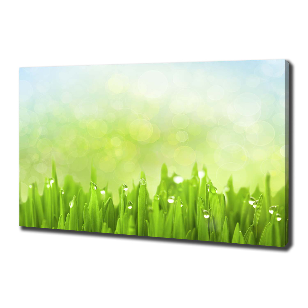 Tableau photo sur toile L'herbe