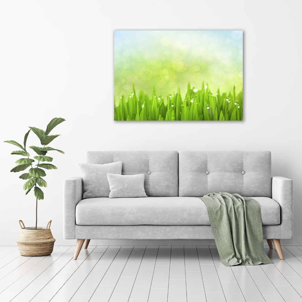 Tableau photo sur toile L'herbe