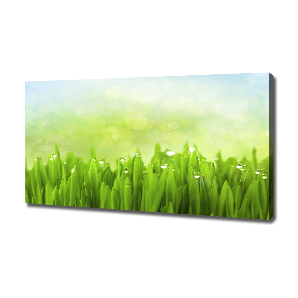 Tableau photo sur toile L'herbe