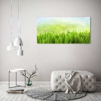 Tableau photo sur toile L'herbe