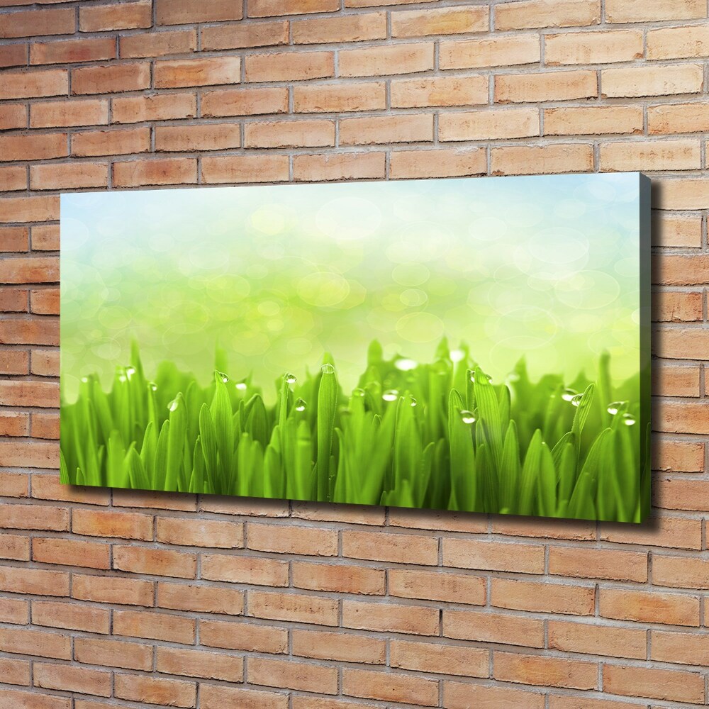 Tableau photo sur toile L'herbe