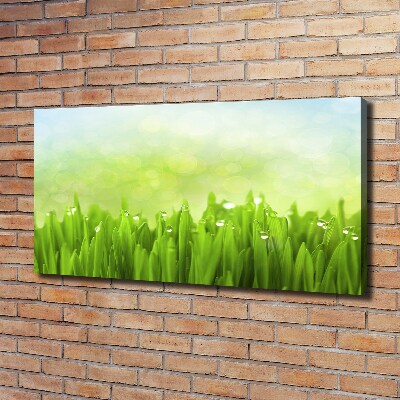 Tableau photo sur toile L'herbe