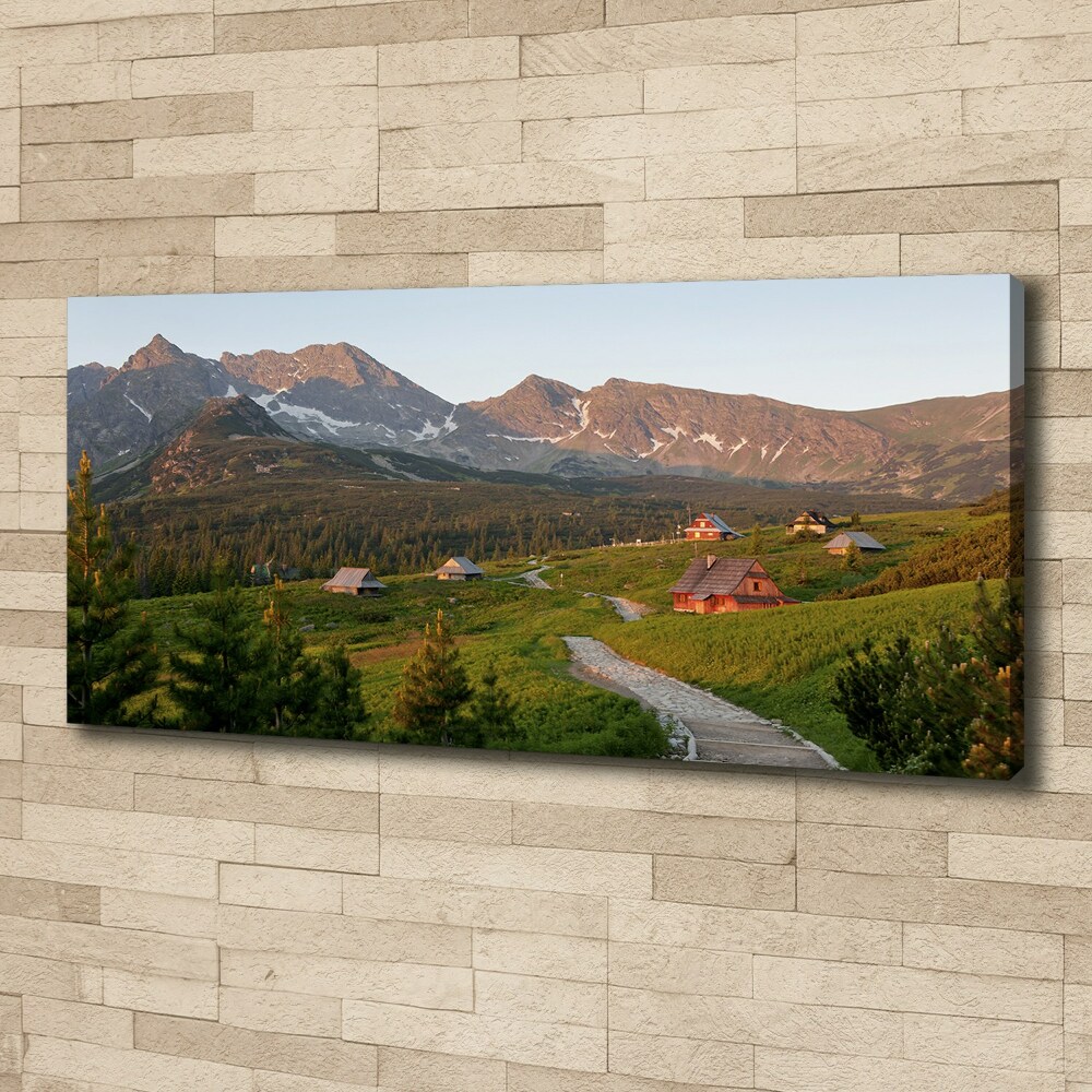 Tableau sur toile Clairière dans les Tatras