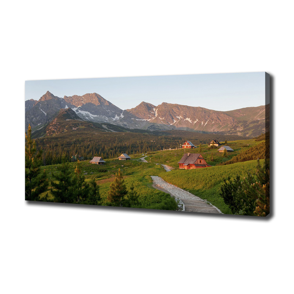 Tableau sur toile Clairière dans les Tatras