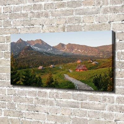 Tableau sur toile Clairière dans les Tatras