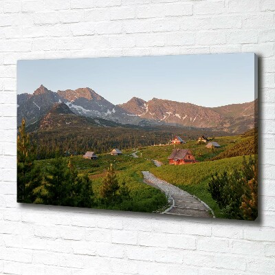 Tableau sur toile Clairière dans les Tatras