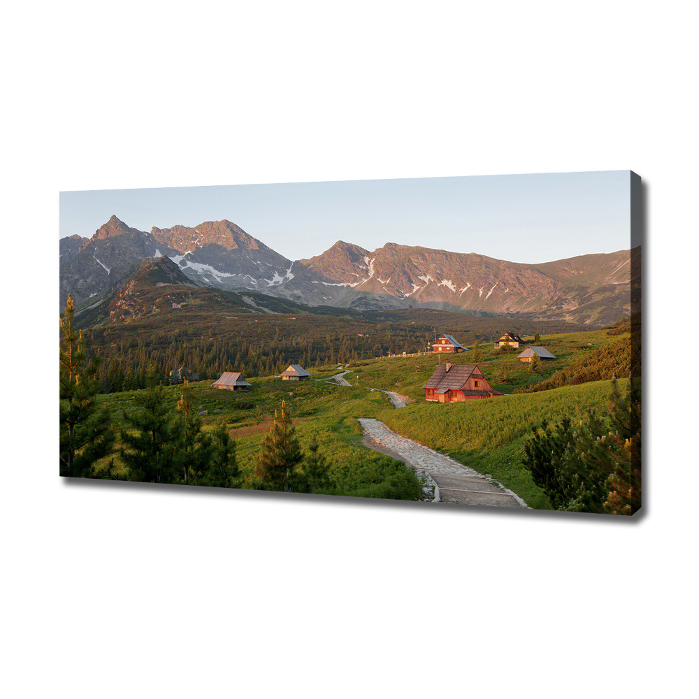 Tableau sur toile Clairière dans les Tatras