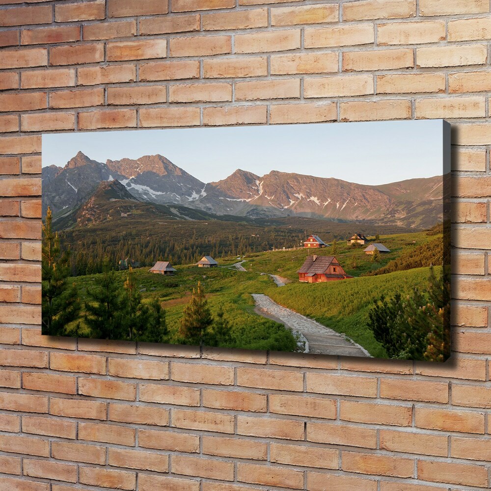 Tableau sur toile Clairière dans les Tatras