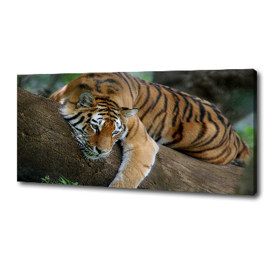 Tableau photo sur toile Tigre sur un arbre