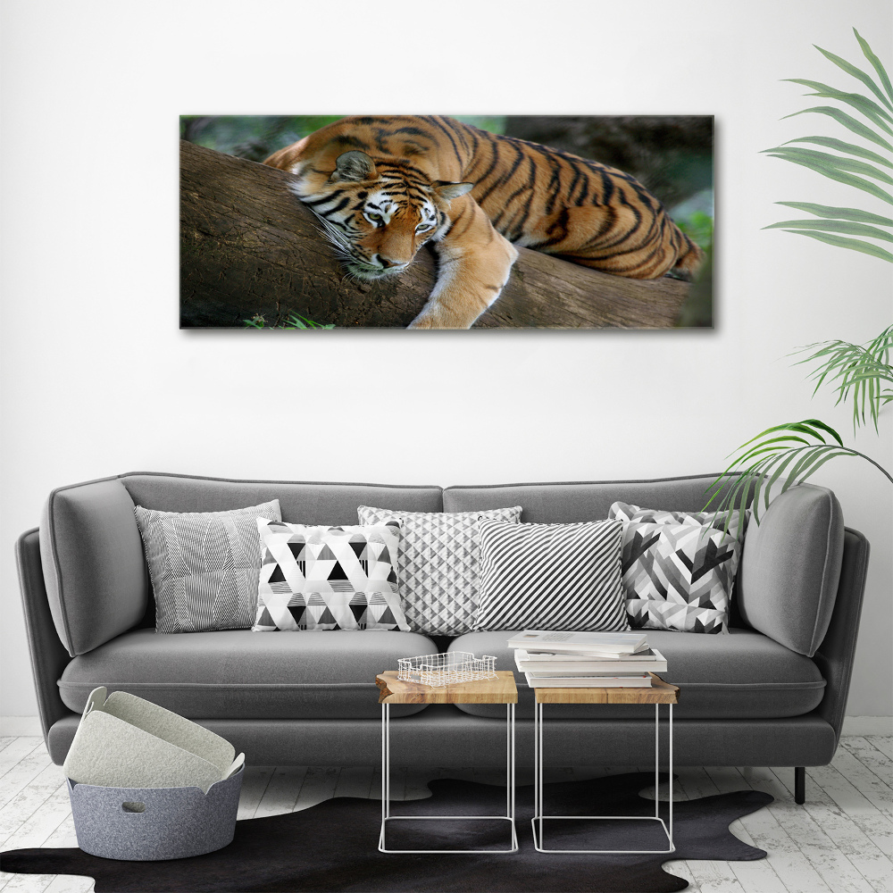 Tableau photo sur toile Tigre sur un arbre