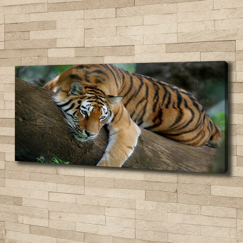 Tableau photo sur toile Tigre sur un arbre