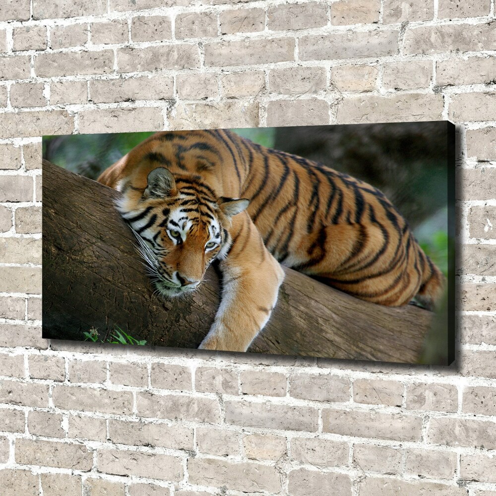 Tableau photo sur toile Tigre sur un arbre