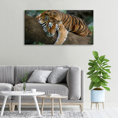 Tableau photo sur toile Tigre sur un arbre