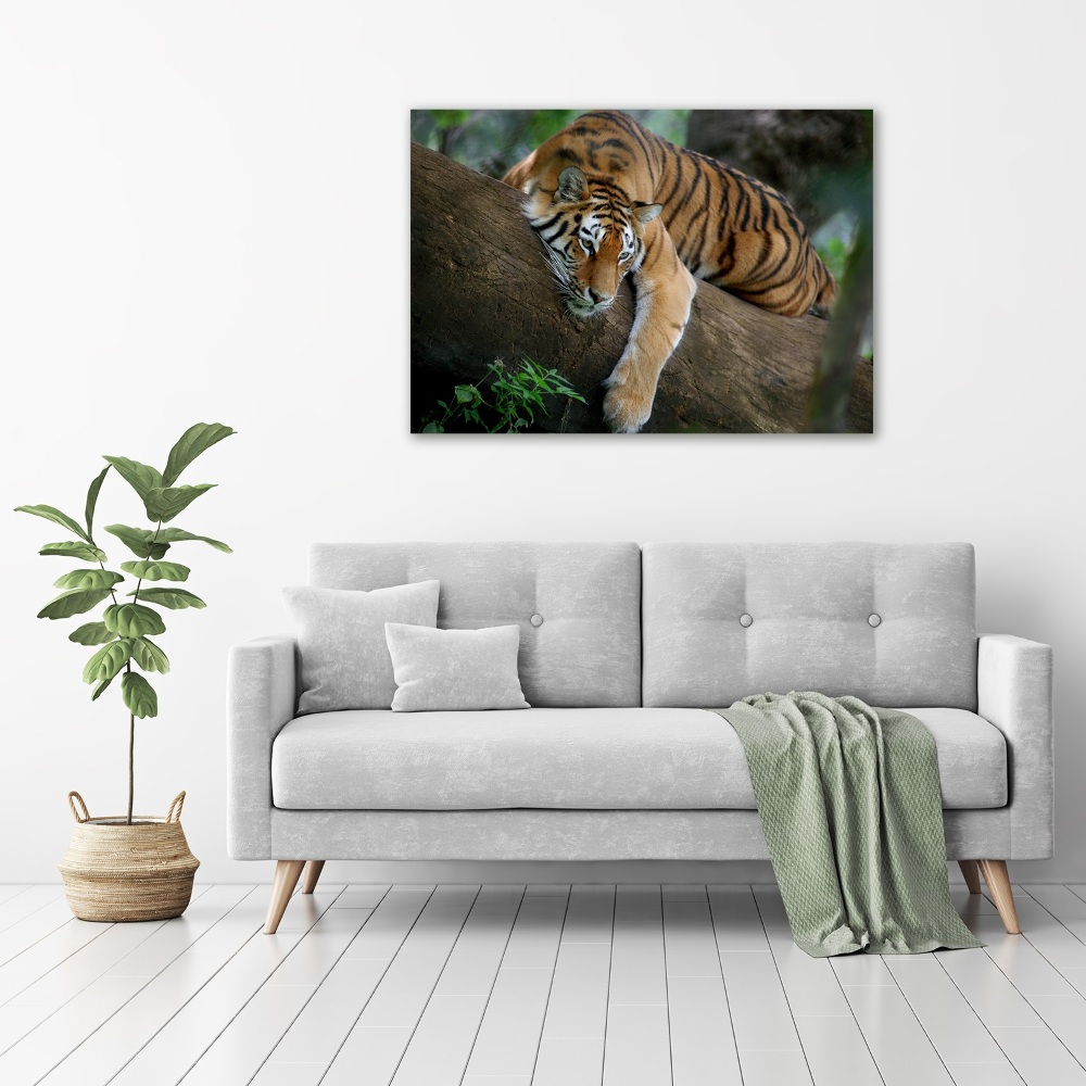 Tableau photo sur toile Tigre sur un arbre