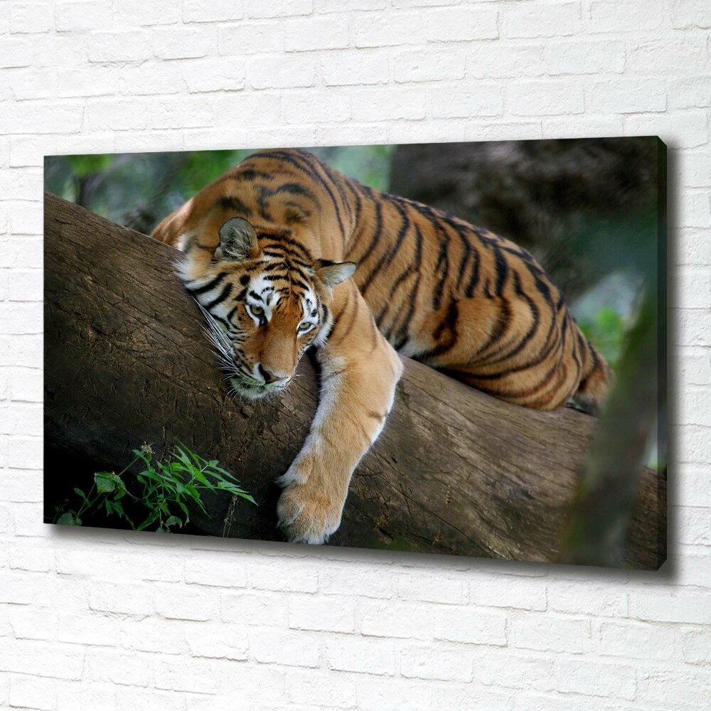 Tableau photo sur toile Tigre sur un arbre