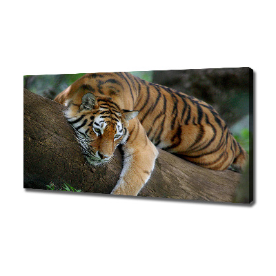 Tableau photo sur toile Tigre sur un arbre