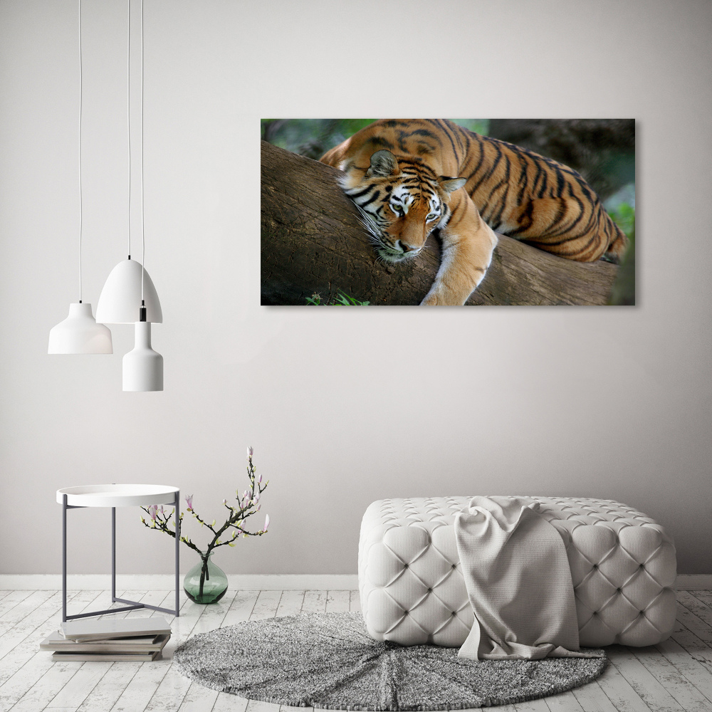 Tableau photo sur toile Tigre sur un arbre