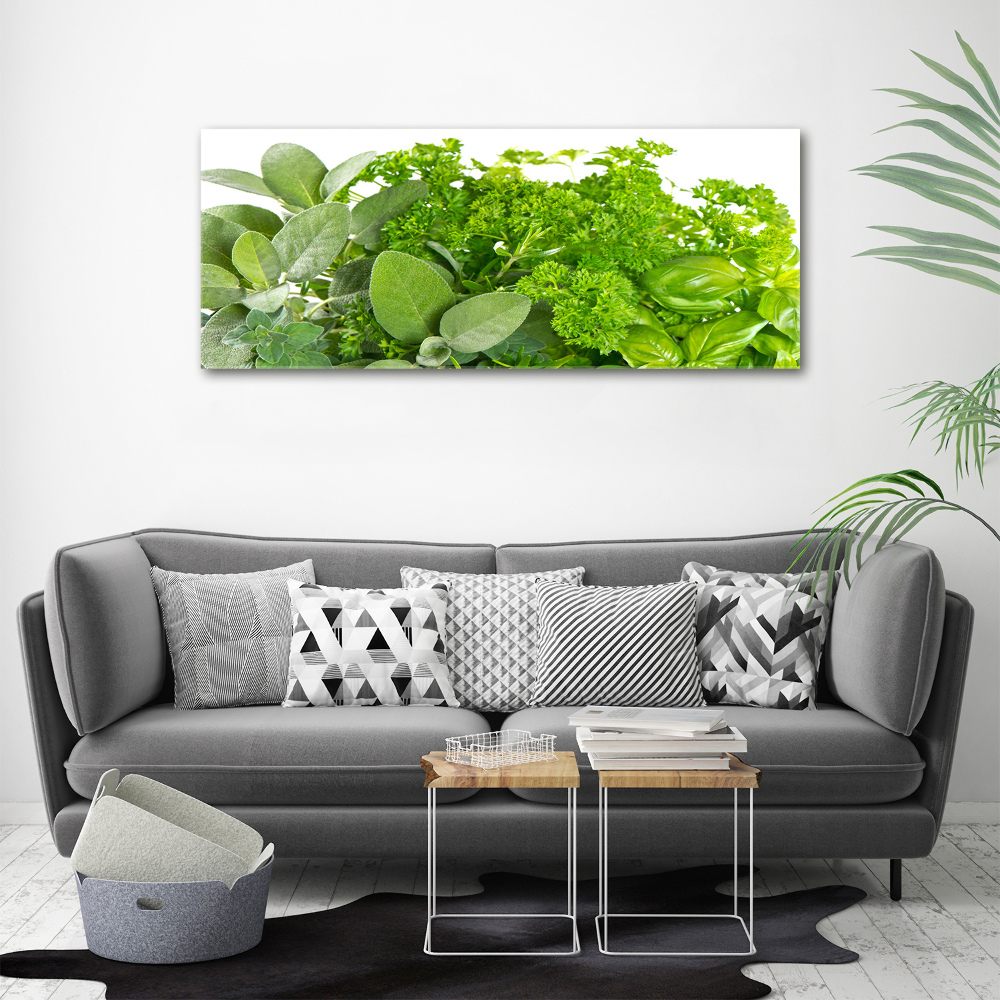 Tableau sur toile Herbes