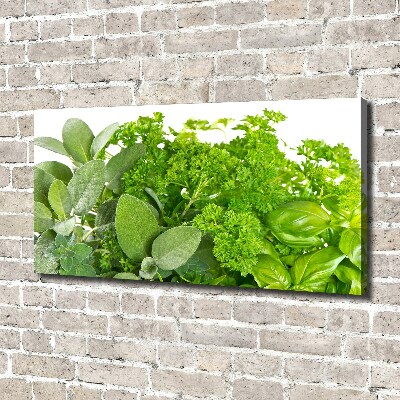 Tableau sur toile Herbes