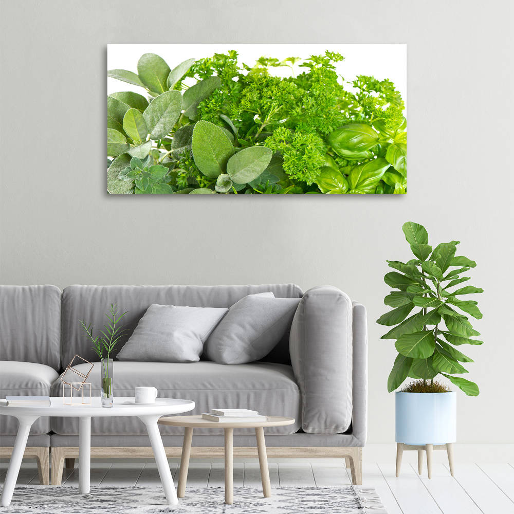 Tableau sur toile Herbes