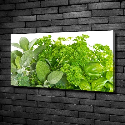 Tableau sur toile Herbes