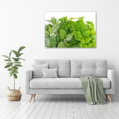 Tableau sur toile Herbes