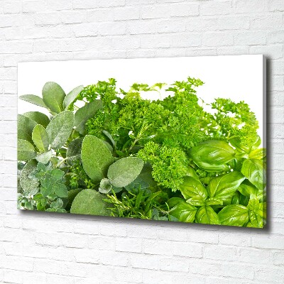 Tableau sur toile Herbes