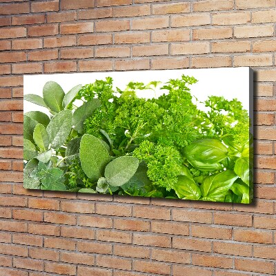 Tableau sur toile Herbes