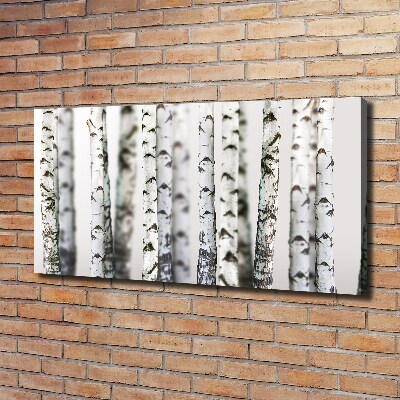 Tableau photo sur toile Troncs de bouleau