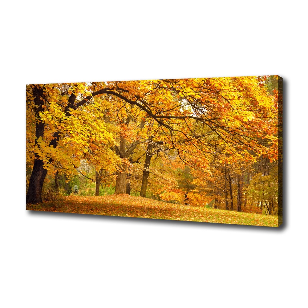 Tableau imprimé sur toile Automne dans le parc