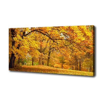 Tableau imprimé sur toile Automne dans le parc