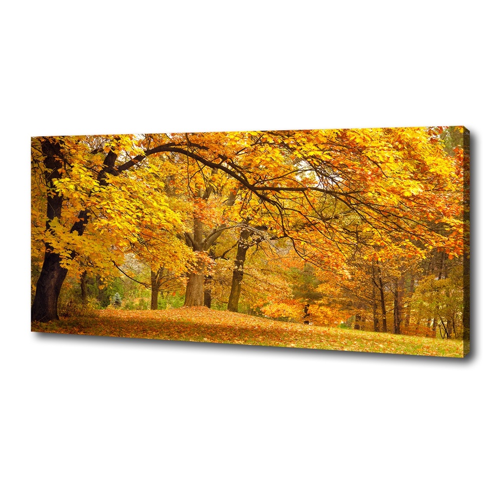 Tableau imprimé sur toile Automne dans le parc