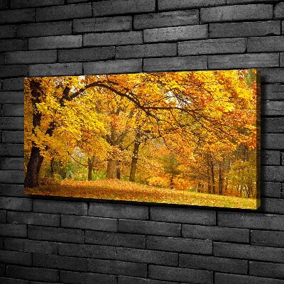 Tableau imprimé sur toile Automne dans le parc