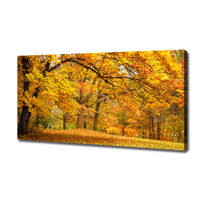 Tableau imprimé sur toile Automne dans le parc