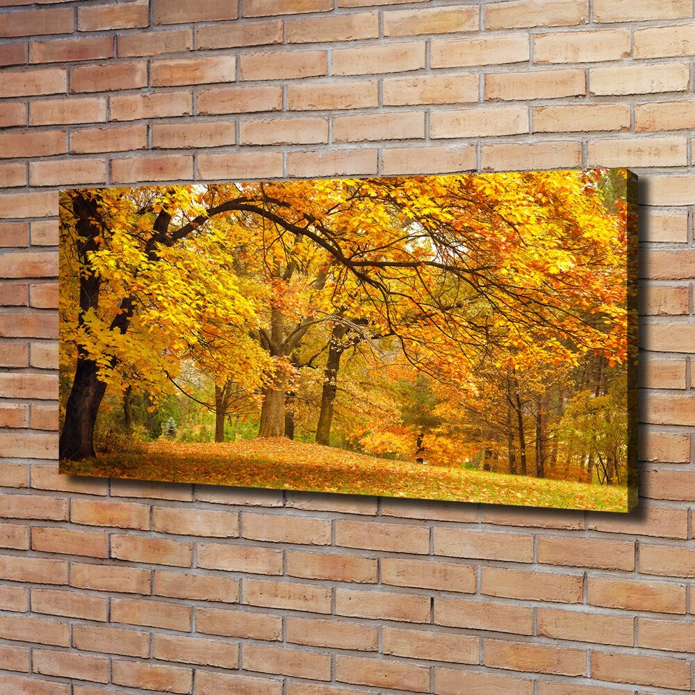 Tableau imprimé sur toile Automne dans le parc