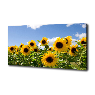 Tableau toile imprimée Tournesols