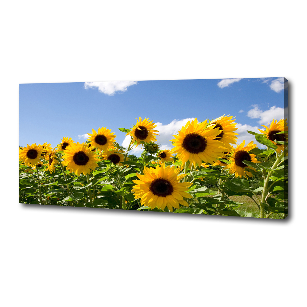 Tableau toile imprimée Tournesols