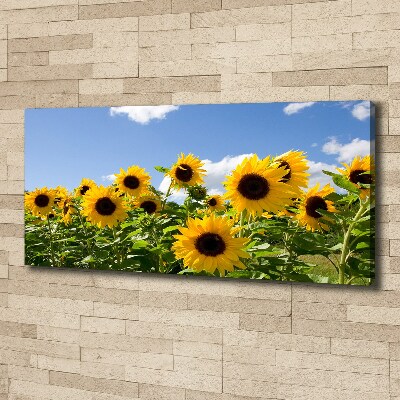 Tableau toile imprimée Tournesols